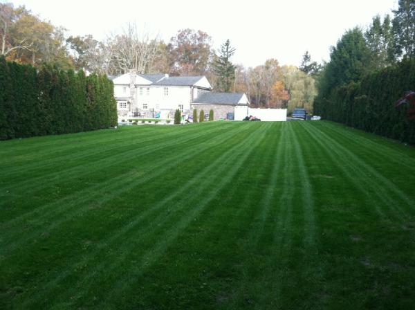 Charles Landscaping