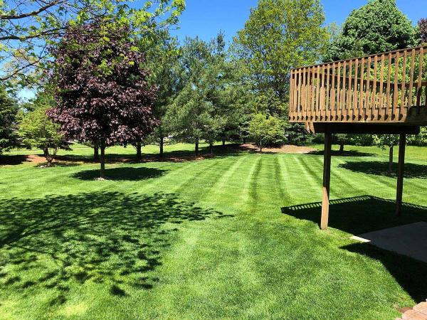 Sharper Image Lawn Maintenance and Snowplowing