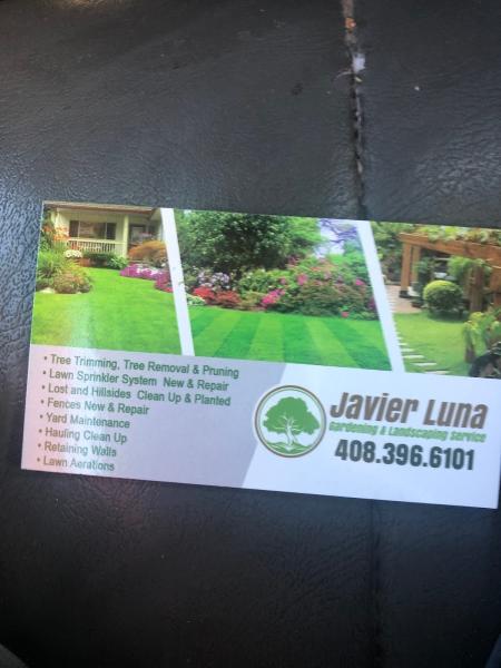 Javier Luna Landscape