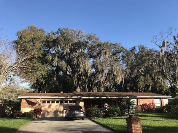 All American Tree Specialist LLC