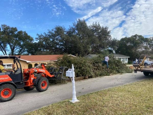 All American Tree Specialist LLC
