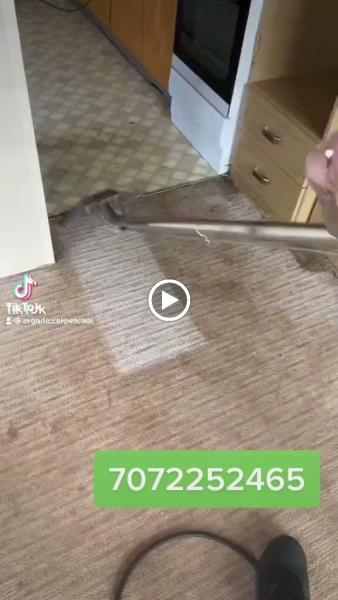 Organic Carpet Care Napa