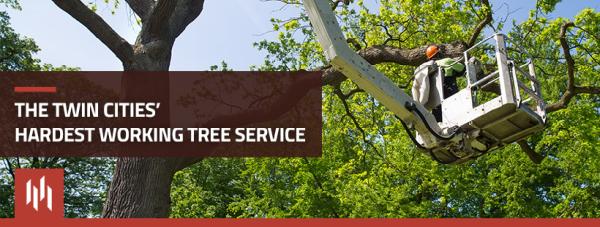 Vital Tree Service