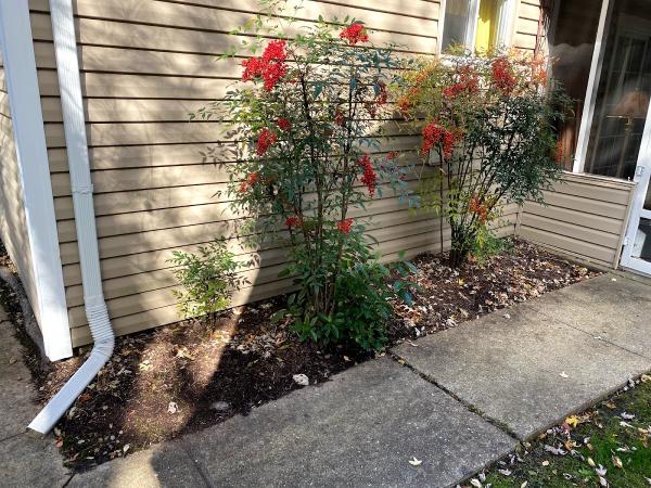 Devost Lawn Care
