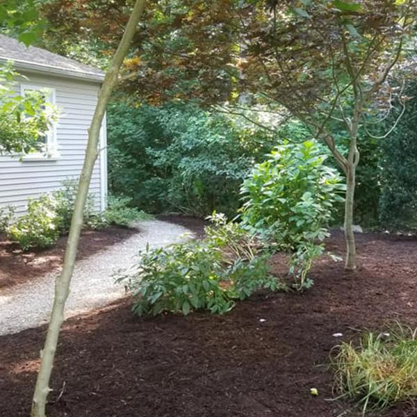 Shoreline Pro Landscape Services