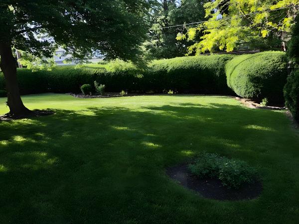 Mr. Greens Lawn Care