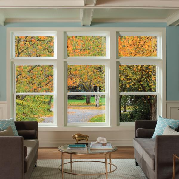 Window World