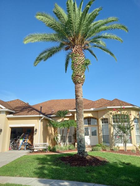Tate's Tree Service