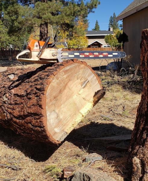 Nevada Arborist LLC