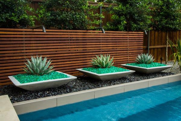 The Plant Concierge