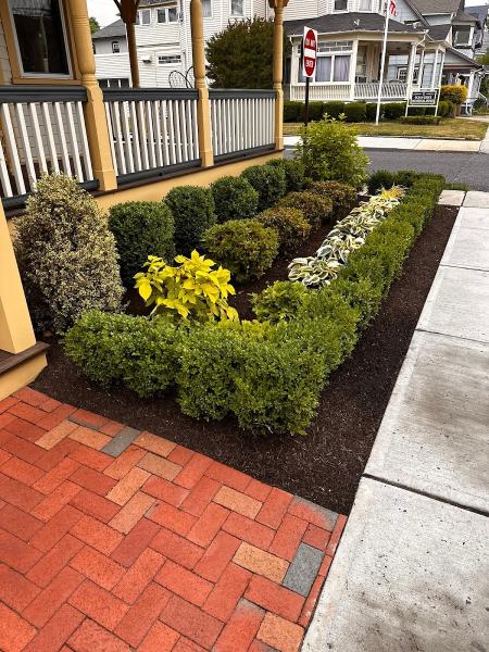 Environmental Landscape Design
