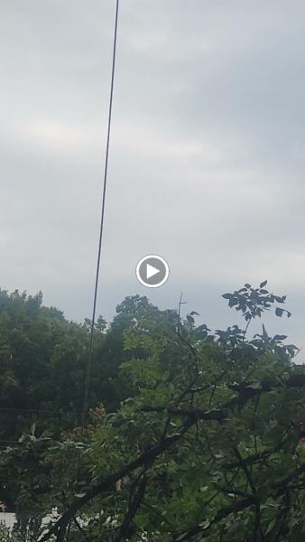 A's Tree Service Corp
