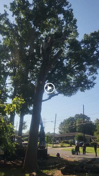 A's Tree Service Corp
