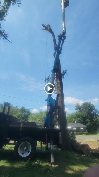 A's Tree Service Corp