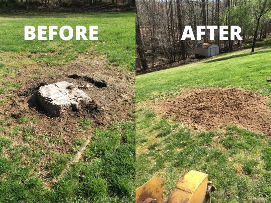 Charlottesville Stump Grinding and Tree Works