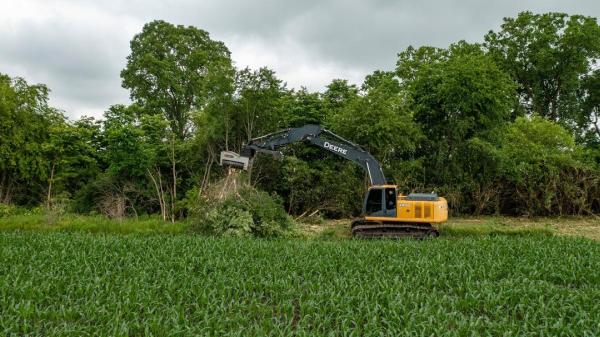 Charlottesville Tree Works