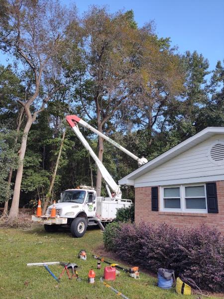 Affordable Carolina Tree Service