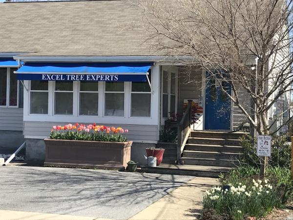Excel Tree Experts