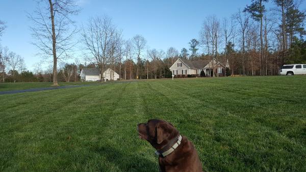 Fields Irrigation Inc