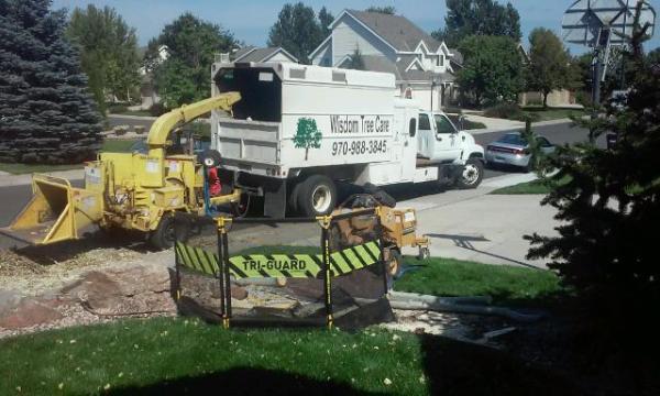 Wisdom Tree Care