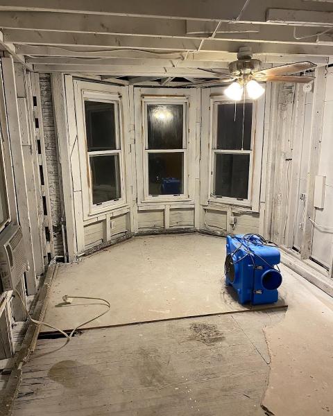 Top Shelf Mold Removal LLC