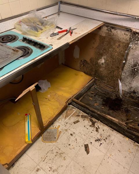 Top Shelf Mold Removal LLC