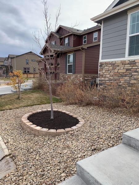 DSW Landscape Services