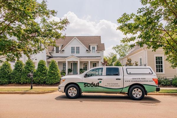 Scout Pest Control