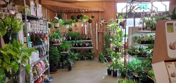 Sun Nurseries