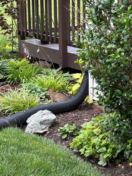 Spring Run Lawn Care