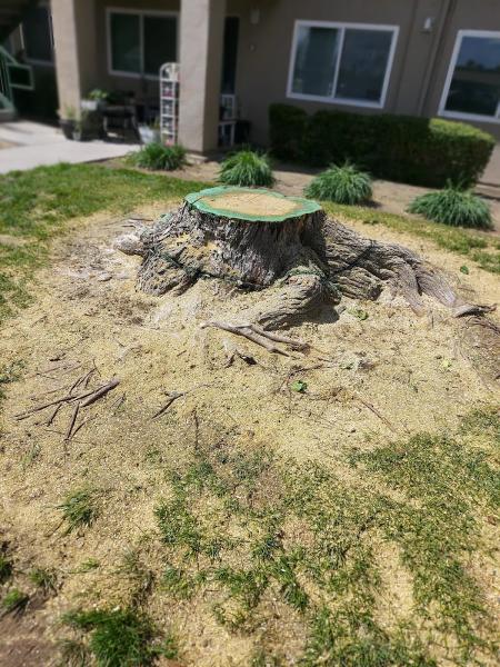 R's Tree Care