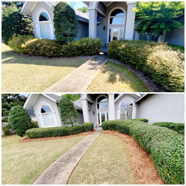 Land Arbor Management