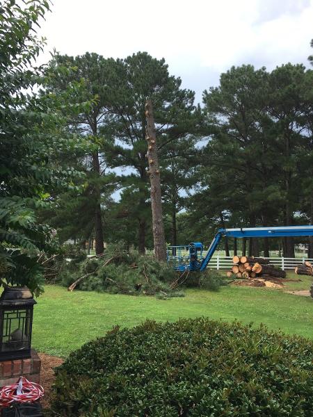 Land Arbor Management