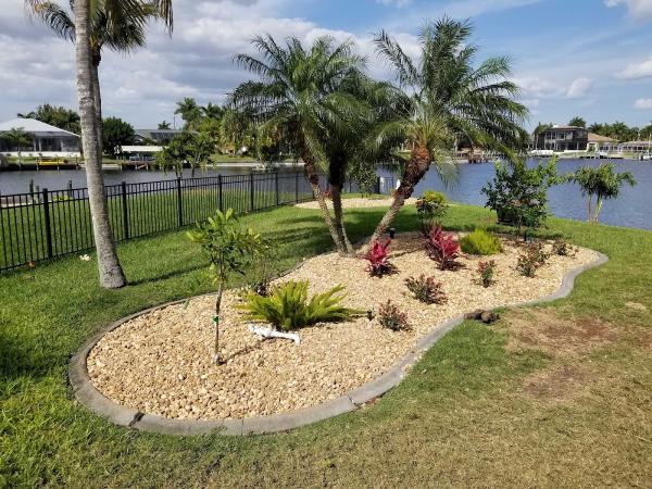 All Around Tree & Landscaping Specialists