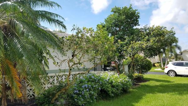 All Around Tree & Landscaping Specialists