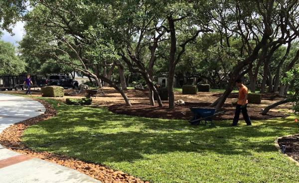 Cut Above Landscape & Tree Service
