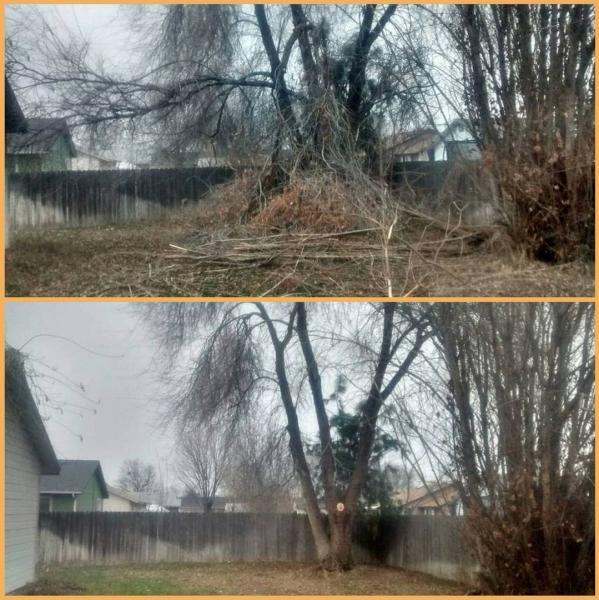 EZ Landscape and Maintenance