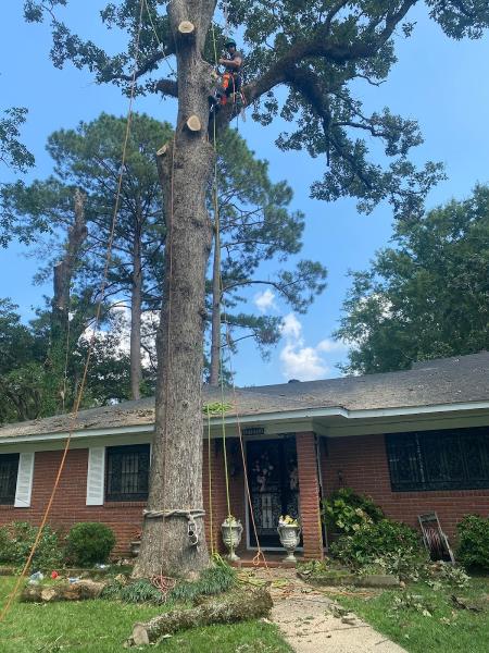 Greg Bates Tree Service