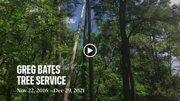 Greg Bates Tree Service