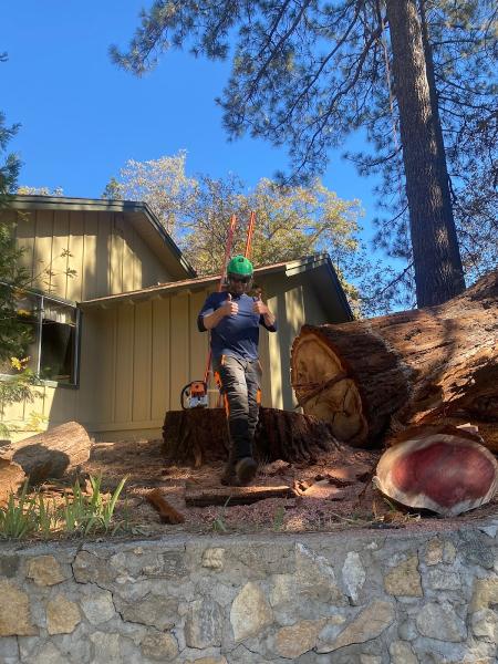Greg Bates Tree Service