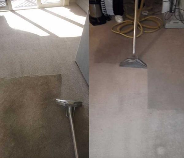Superior Carpet Cleaning and Repair