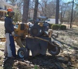 B Jones Tree Services