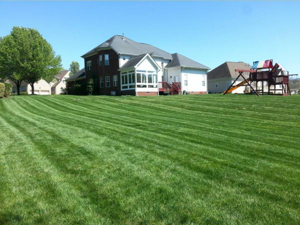 Ray Lawns