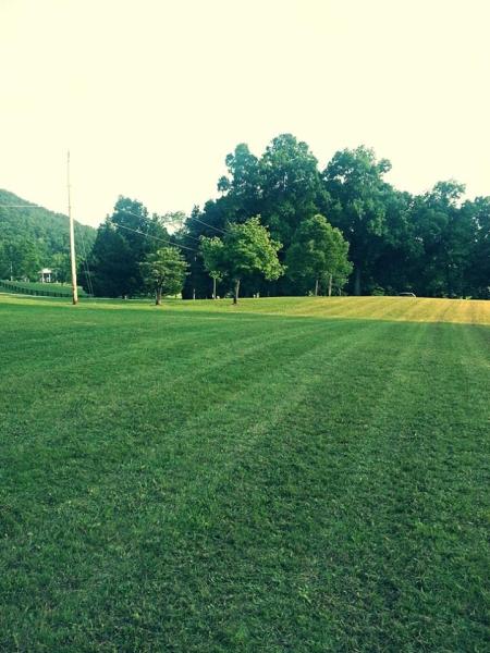 Ray Lawns