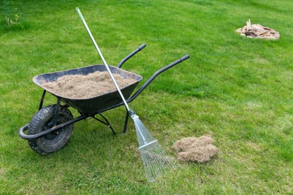 Diamond Cut Landscaping Service