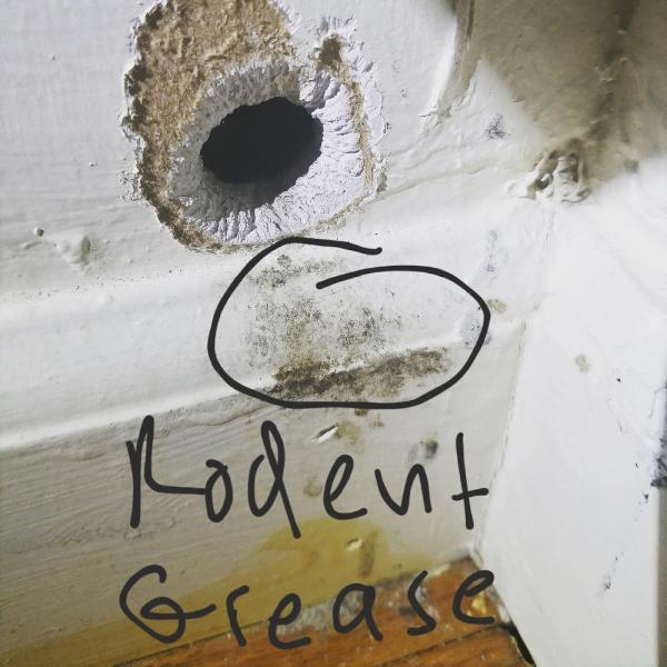 Rest Easy Pest Control
