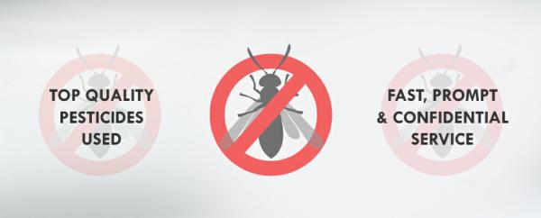 Hillcrest Pest Control Llc