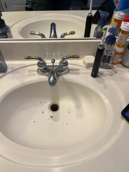 Ernst Handyman Services LLC