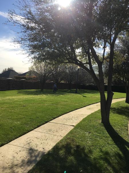 Clean Cut Yards