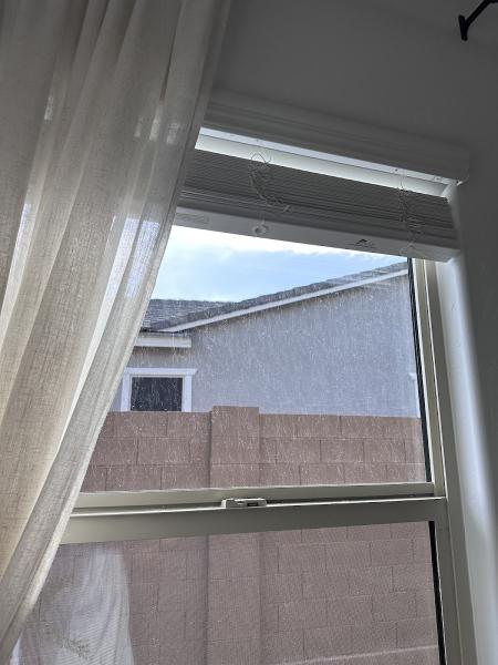 Sparkly Clean Windows